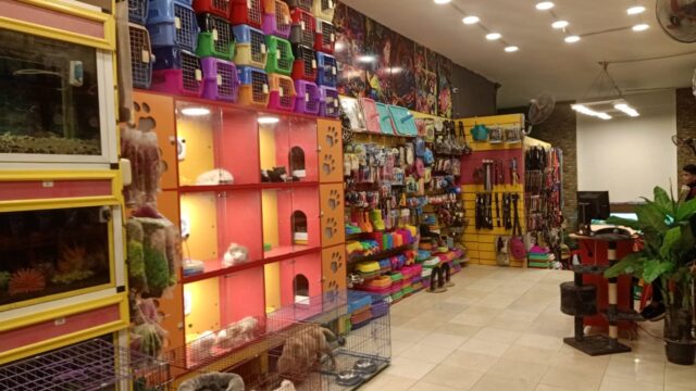 Google Photo 2