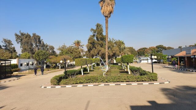 Google Photo 1
