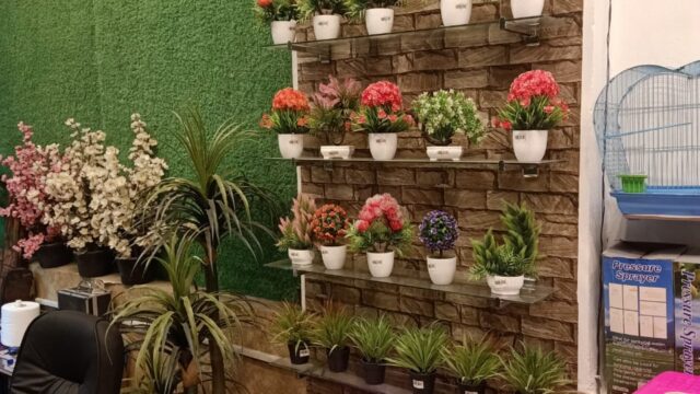 Google Photo 5