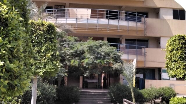 Google Photo 3