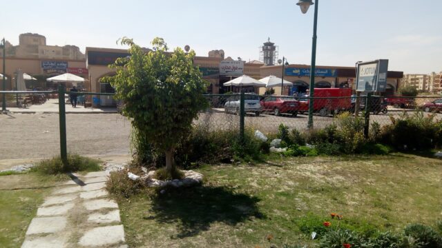 Google Photo 5