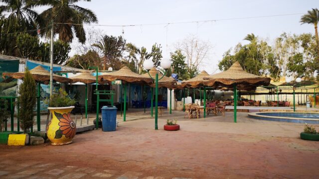 Google Photo 4
