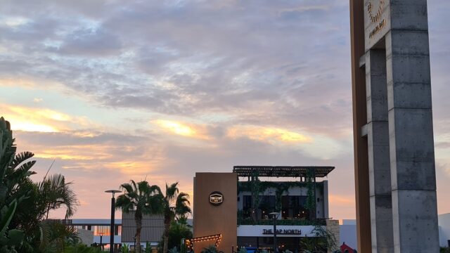 Google Photo 5