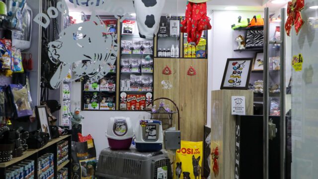 Google Photo 2
