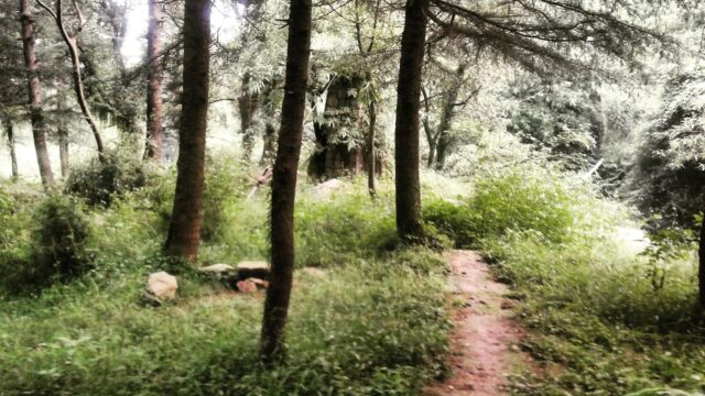 Google Photo 3