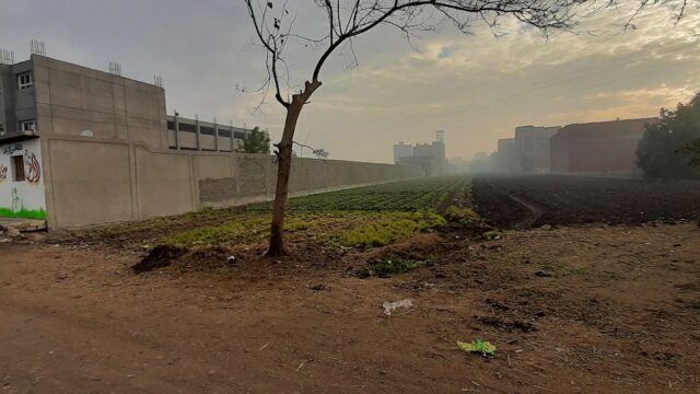 Google Photo 5