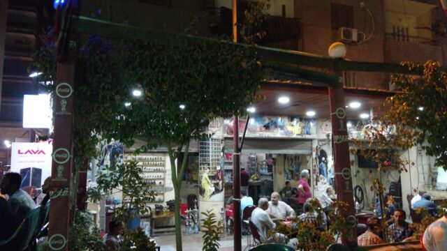 Google Photo 4