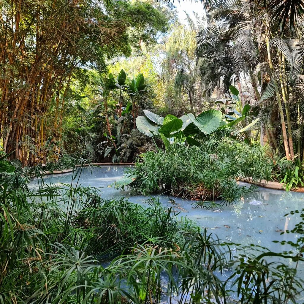 بيت المنصورية