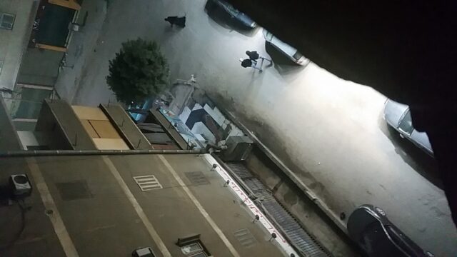 Google Photo 5