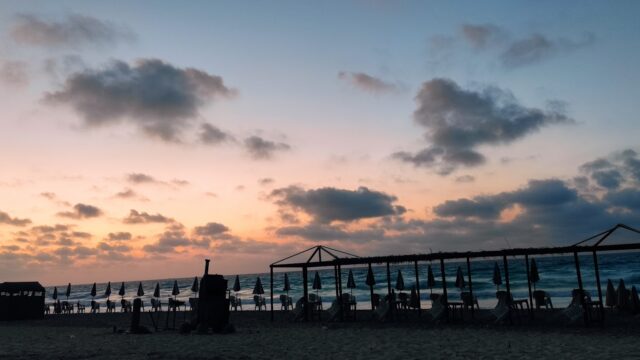 Google Photo 5