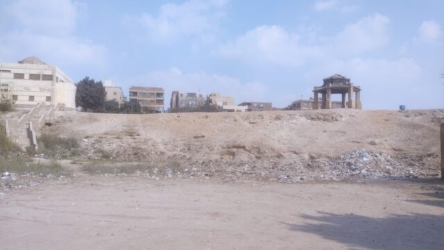 Google Photo 5