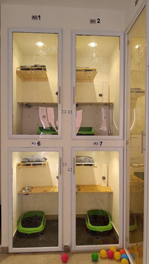 Pets and Pets Cats Hotel and veterinary clinic