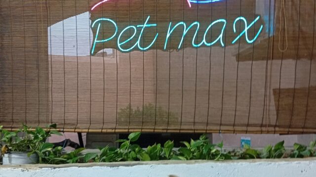 Google Photo 4