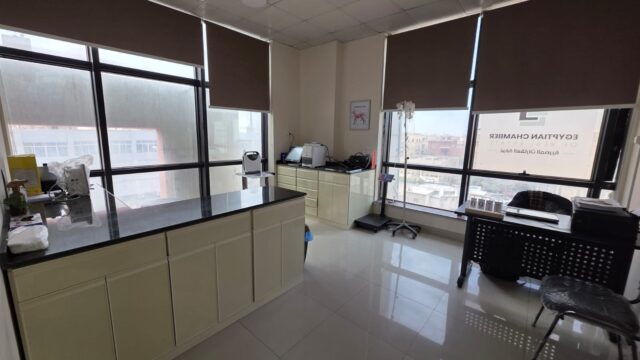 Google Photo 5