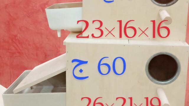 Google Photo 3