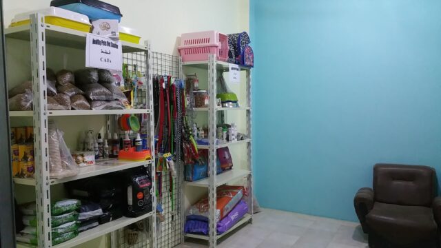 Google Photo 3