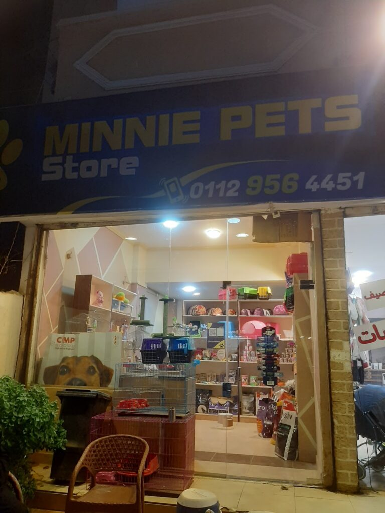 Minnie Pets