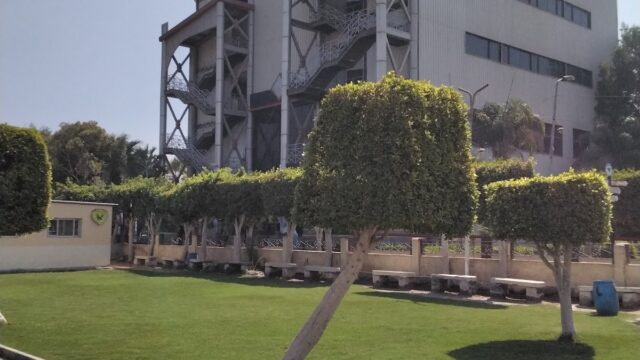 Google Photo 1
