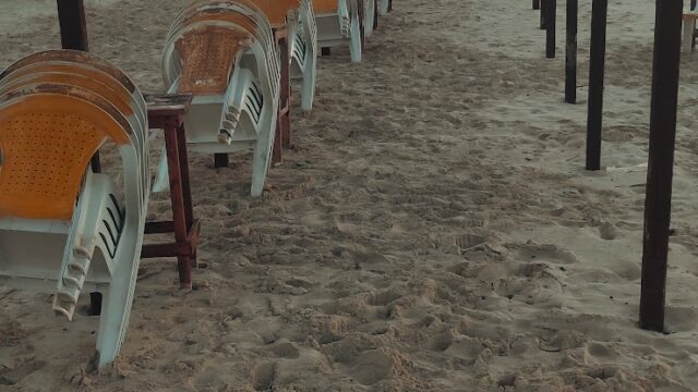 Google Photo 1