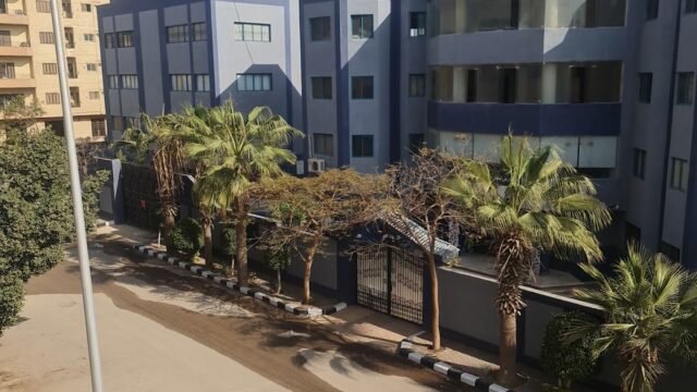 Google Photo 2