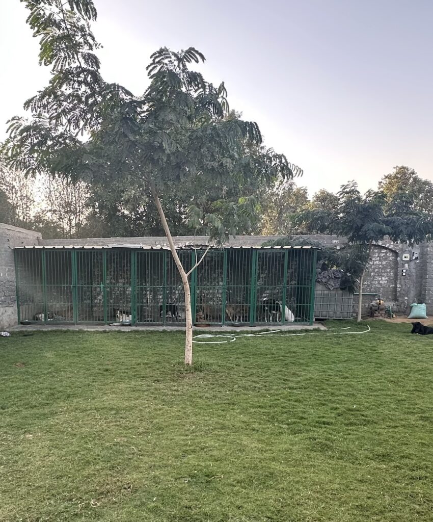 The vet ranch