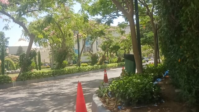 Google Photo 3