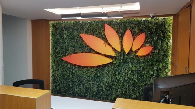 Google Photo 5
