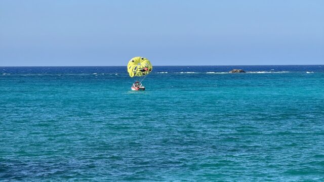 Google Photo 2