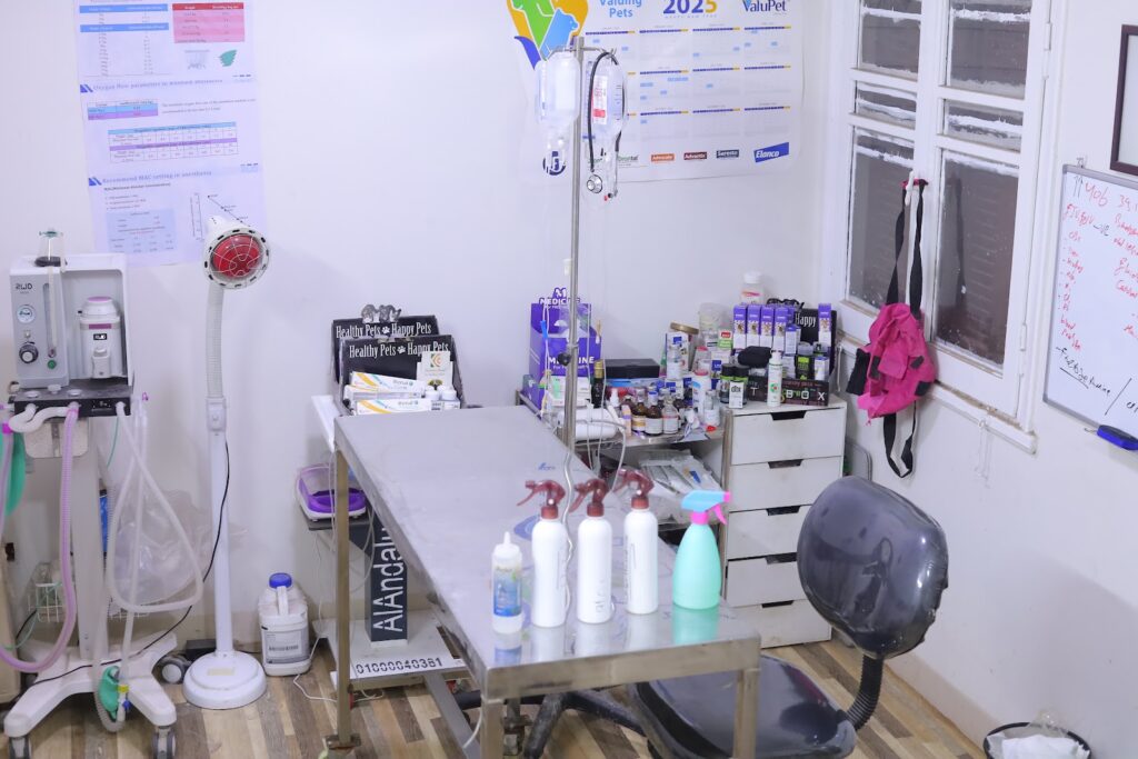 Legacy Pets Clinic