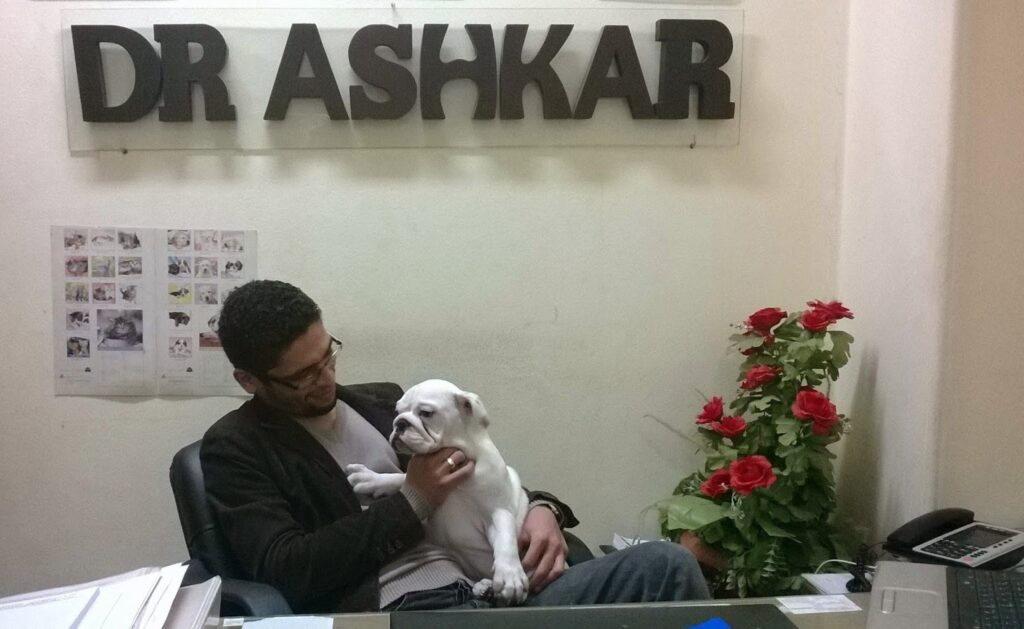 PET LOVERS HOSPITAL
