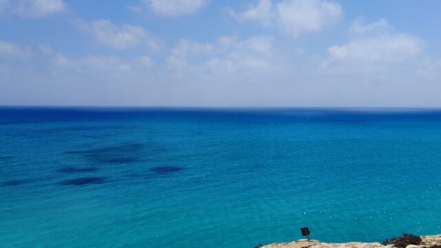 Google Photo 3