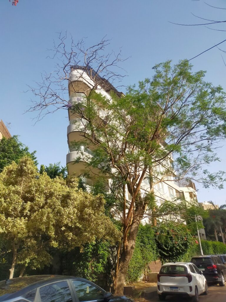 EL Sarayat House