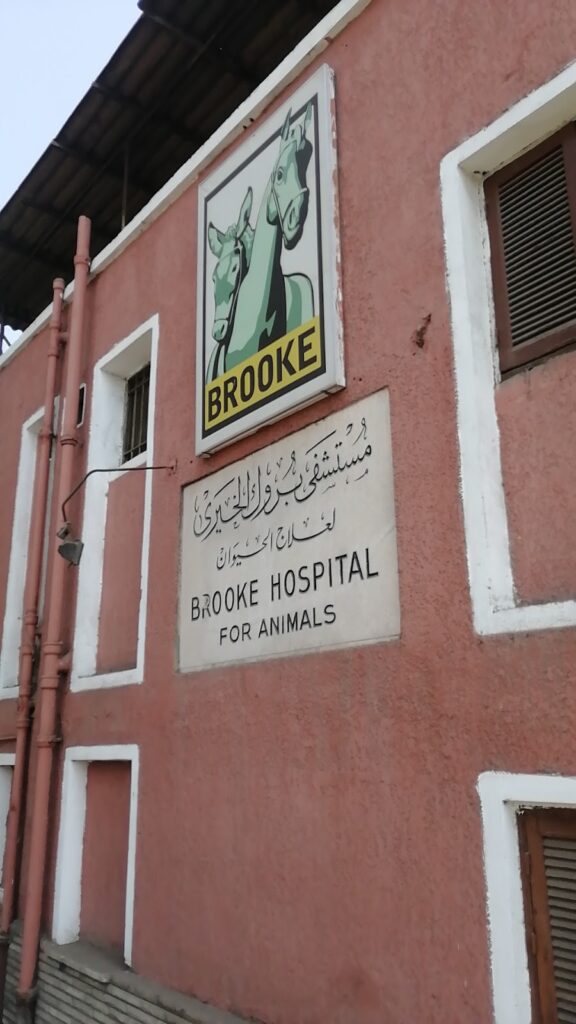 Brooke Hospital For Animals