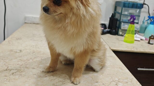 Google Photo 3