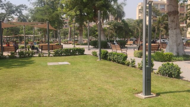 Google Photo 3