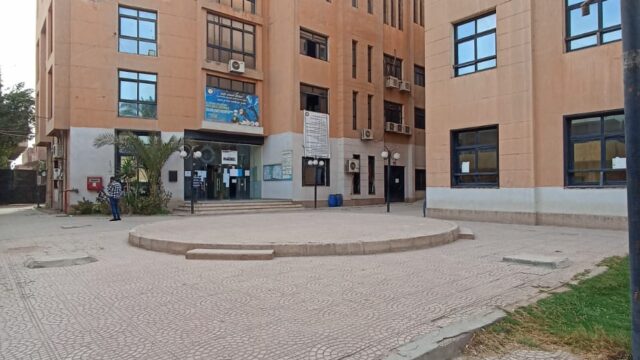 Google Photo 4
