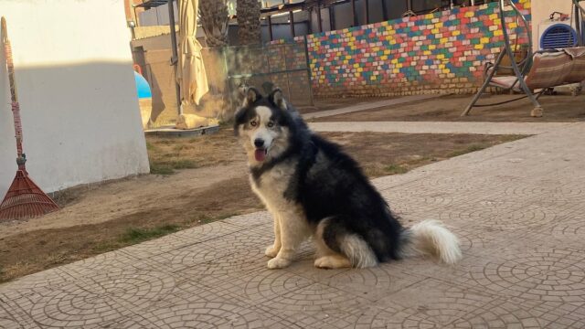 Google Photo 2