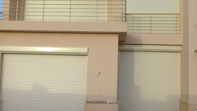 Google Photo 2