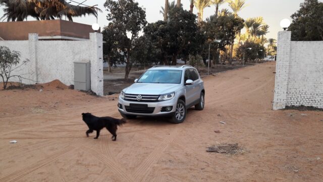 Google Photo 3