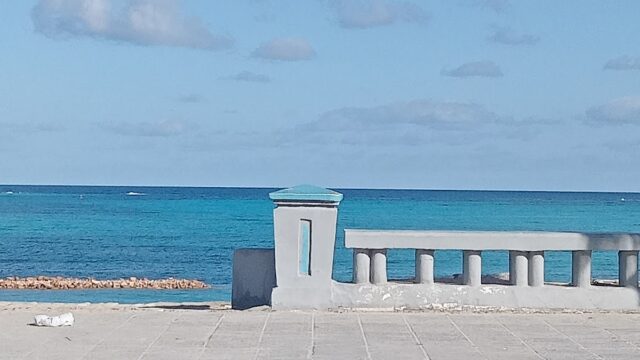 Google Photo 1