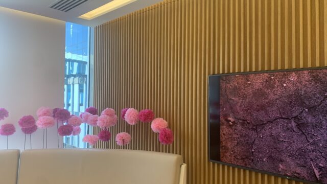 Google Photo 3