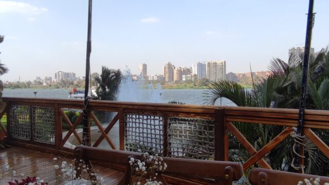 Google Photo 3