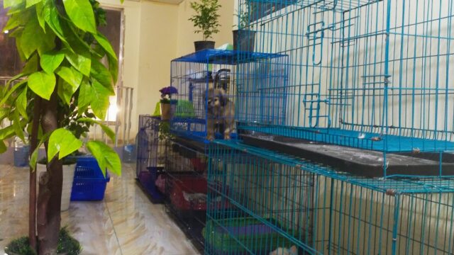 Google Photo 3