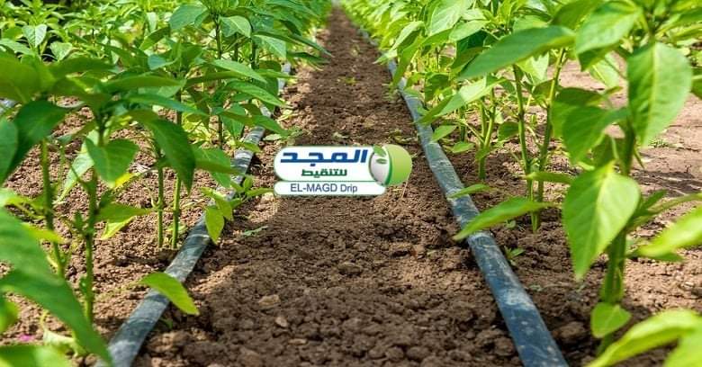شركة دلتا الواحة لتوريد أنظمة الري بالتنقيط الحديثة والمقاولات الزراعية