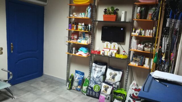 Google Photo 5