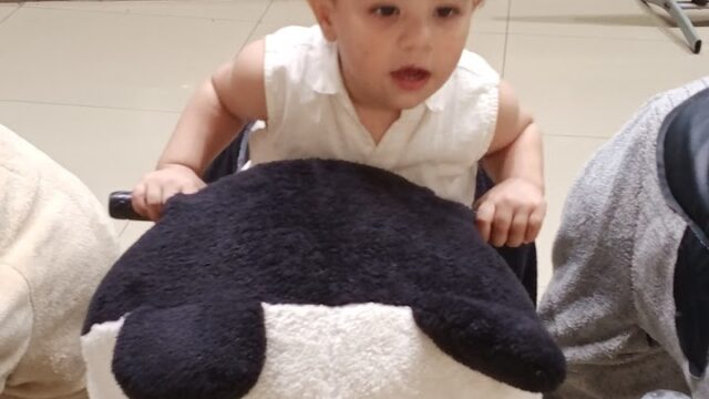 Google Photo 4