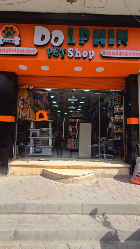 Dolphin pet shop 2