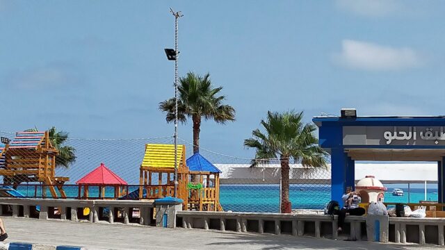 Google Photo 3