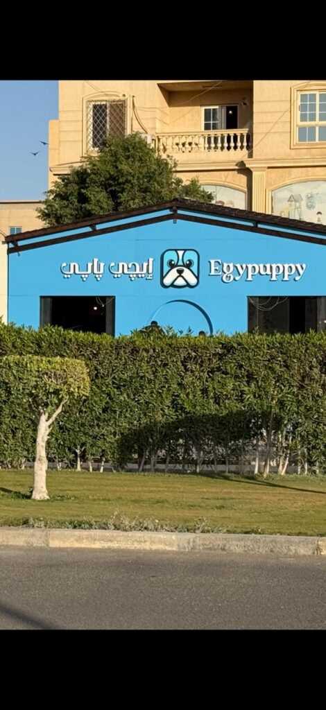 EGY Puppy – Beverly Hills Sodic (sheikh zayed)