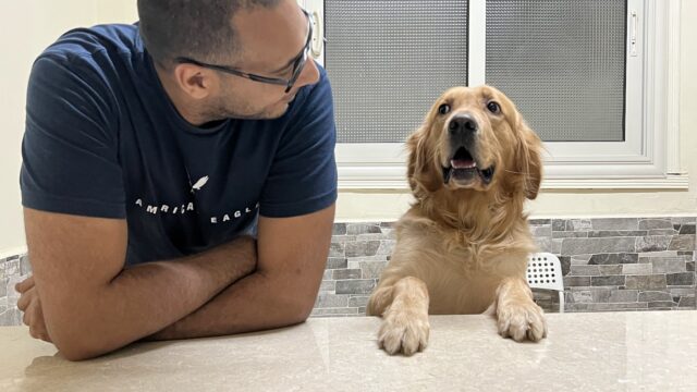 Google Photo 4